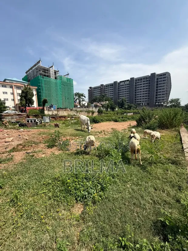 2432 SQM Residential Land in Maitama, Abuja - 1