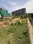 2432 SQM Residential Land in Maitama, Abuja - 2
