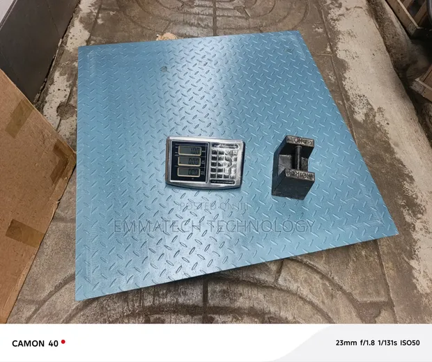 Ricool 3000kg Wireless Digital Scale - 1