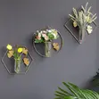 Hydroponic Wall Flower Vase - Sabon Abu - 4