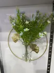 Hydroponic Wall Flower Vase - Sabon Abu - 5