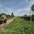 Filin Zama 800sqm don Siyarwa, FHA Lugbe - 1