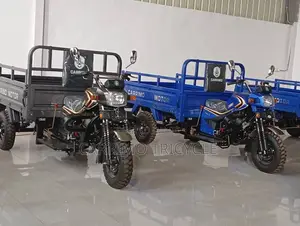 New Zongshen ZT3F 2025 Red Three-Wheeler