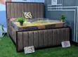Luxurious 6x6 Bedframe Mai Garanti - 1