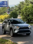 2024 Toyota RAV4 XLE - Silver - 2