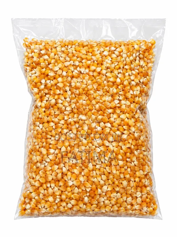 Popcorn Maize - FoodCo Brand - 1