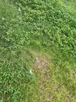 FCDA C of O Land for Sale at Apo Wassa - 2