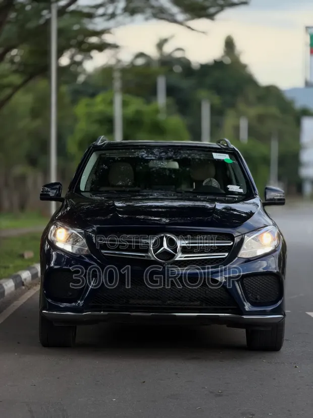 2019 Mercedes-Benz GLE350 - Wadda Aka Shigo Da Shi - 1