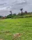 Filin Kyauta a Isheri North GRA, OPIC Estate - 1
