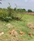 Filin Kyauta a Isheri North GRA, OPIC Estate - 5