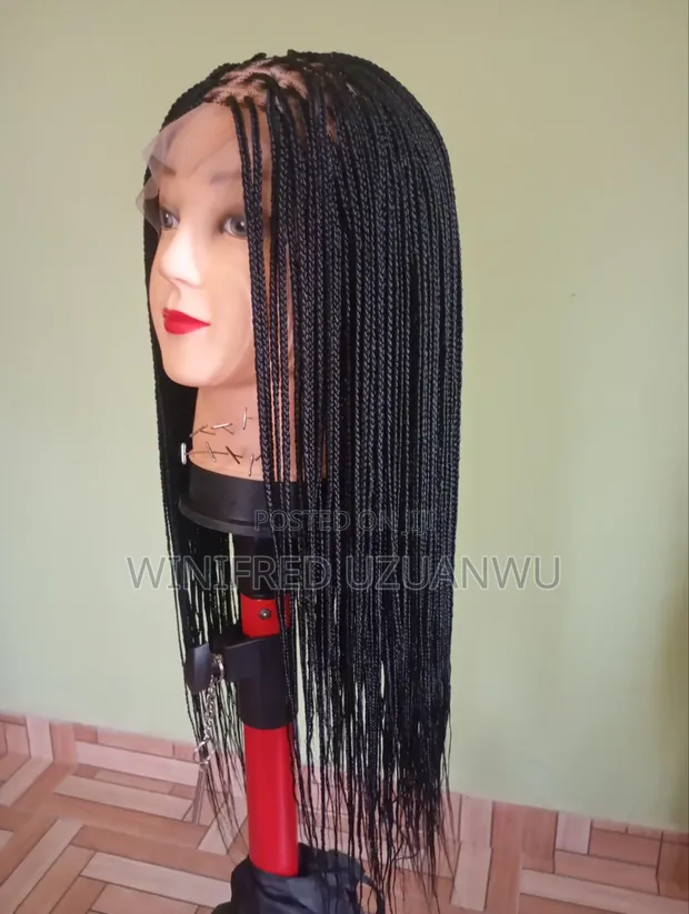 Braided Wig - Bra Length - 1