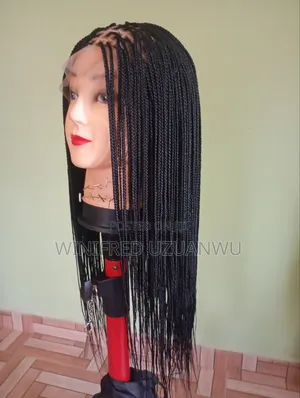 Braided Wig - Bra Length