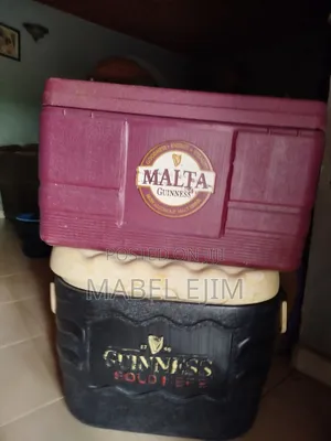 Insulated Cooler/Warmer - Big Size