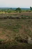 Filin Sayarwa da Takardar Mallaka a Ibadan - 3