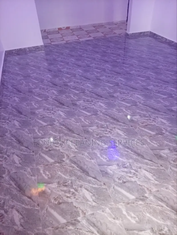 Tonia's Cleaning Services - Routine & Deep Cleaning - 1
