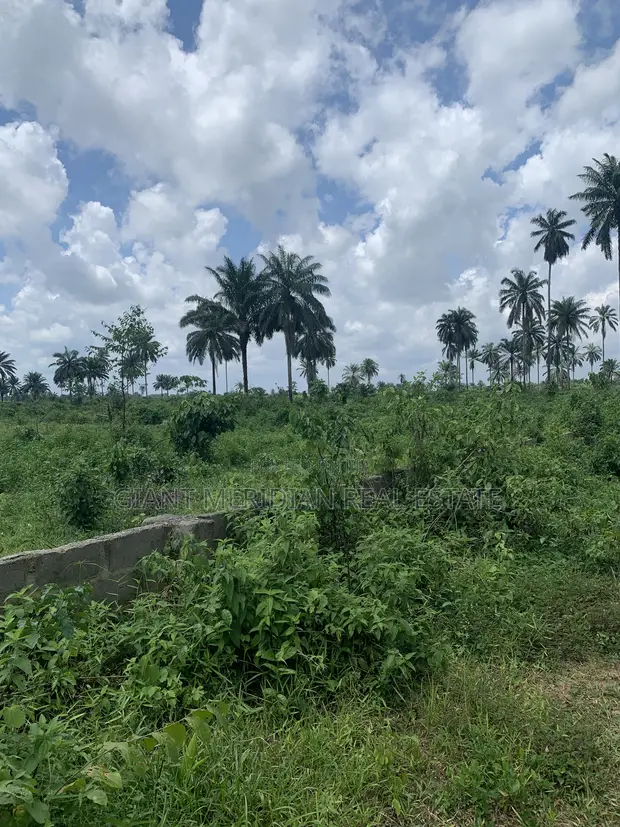 465sqm Land for Sale - Igwuruta, Port Harcourt - 1