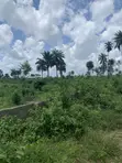 465sqm Land for Sale - Igwuruta, Port Harcourt - 1