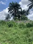 465sqm Land for Sale - Igwuruta, Port Harcourt - 3