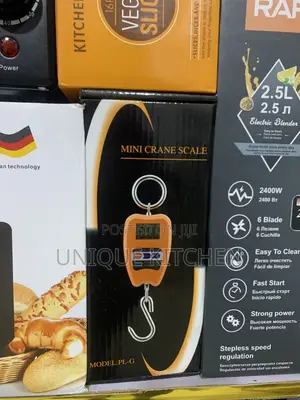 Digital Mini Crane Scale 200kg - Industrial Hanging