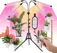 LED Grow Light, 4 Heads, Adjustable Tripod, Remote - 5