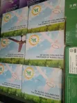 SPL AC/DC Solar Ceiling Fan - 2