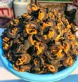Export Standard Dried Snail - 3