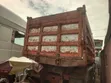 Iveco Euro Trakker Tipper 12 Tyres (Foreign Used) - 2