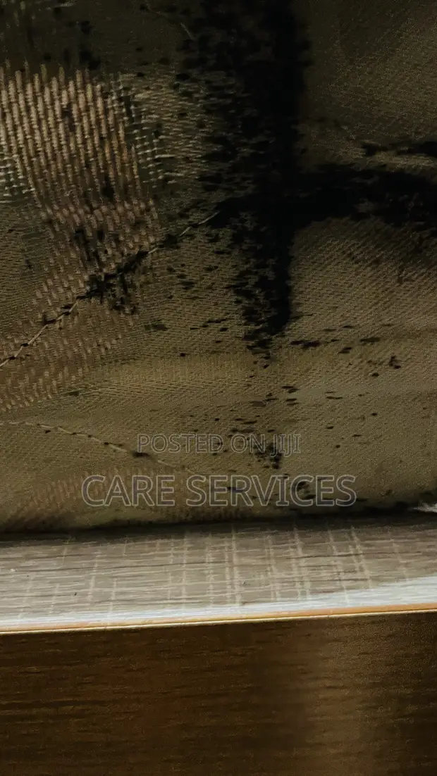 Cockroach, Bedbug Pest Control & Fumigation Services - 1