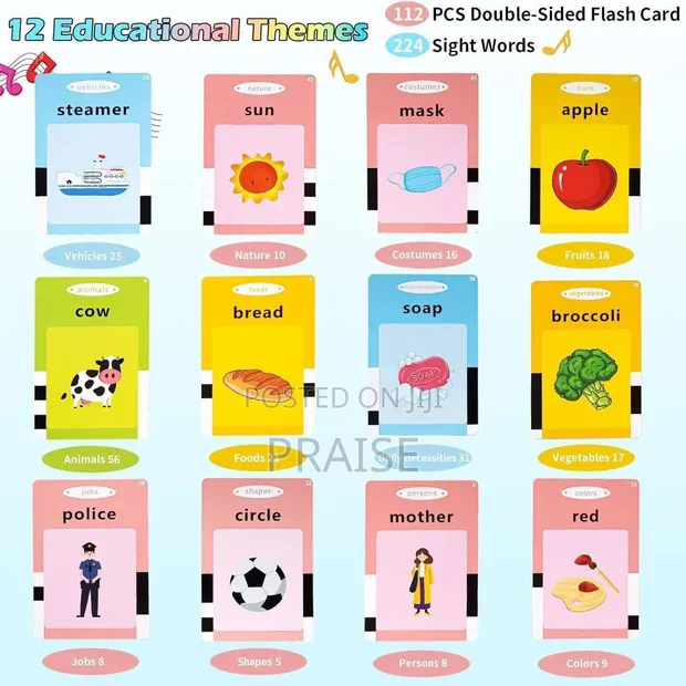 Earlyears Educational Card Reader Flash Cards - 1