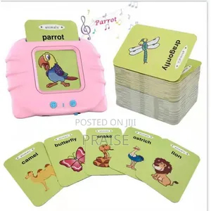 Earlyears Educational Card Reader Flash Cards