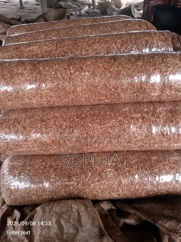 Oron Crayfish and Dry Fish - 1