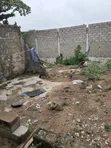 2000sqm Waterfront Dry Land for Lease in Amuwo Odofin - 3