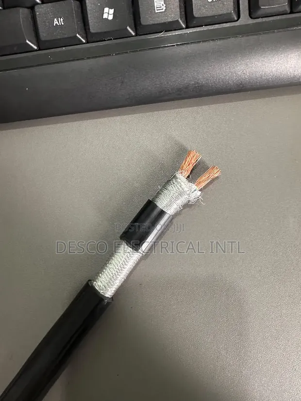 10mm x 2 Core Flexible Wire - 1