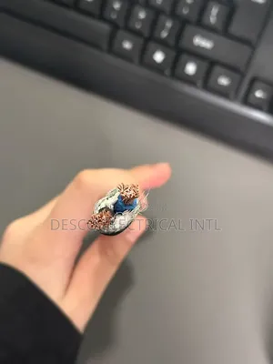 10mm x 2 Core Flexible Wire
