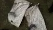 Cikakken Low Arm don Honda Pilot & Acura MDX - 3