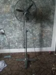 OX Fan Mai Tsayuwa 18-inch - 1