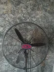 OX Fan Mai Tsayuwa 18-inch - 3
