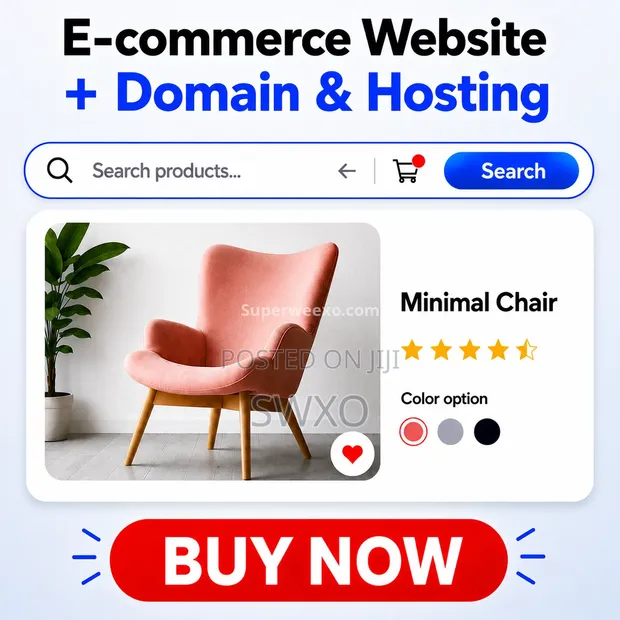 Professional Ecommerce Website + Domain Hosting - 1