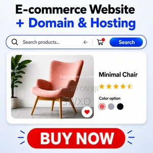 Professional Ecommerce Website + Domain Hosting