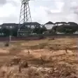 5000sqm Residential Land for Outright Sale in Kaura - 1