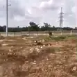 5000sqm Residential Land for Outright Sale in Kaura - 2