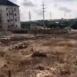 5000sqm Residential Land for Outright Sale in Kaura - 3