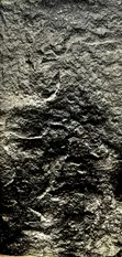 PU Stone Effect Wall Cladding Panels - 1