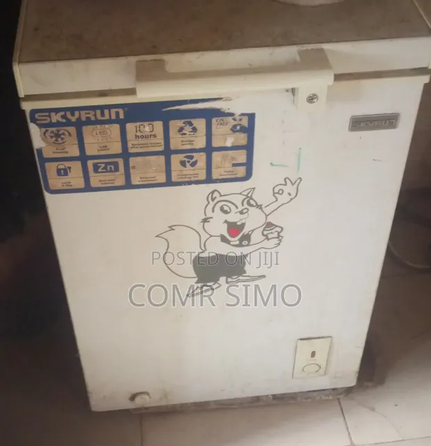 Skyrun Chest Freezer - 1