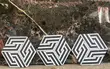 Hexagon Tiles - Llama Flower Pattern - 2