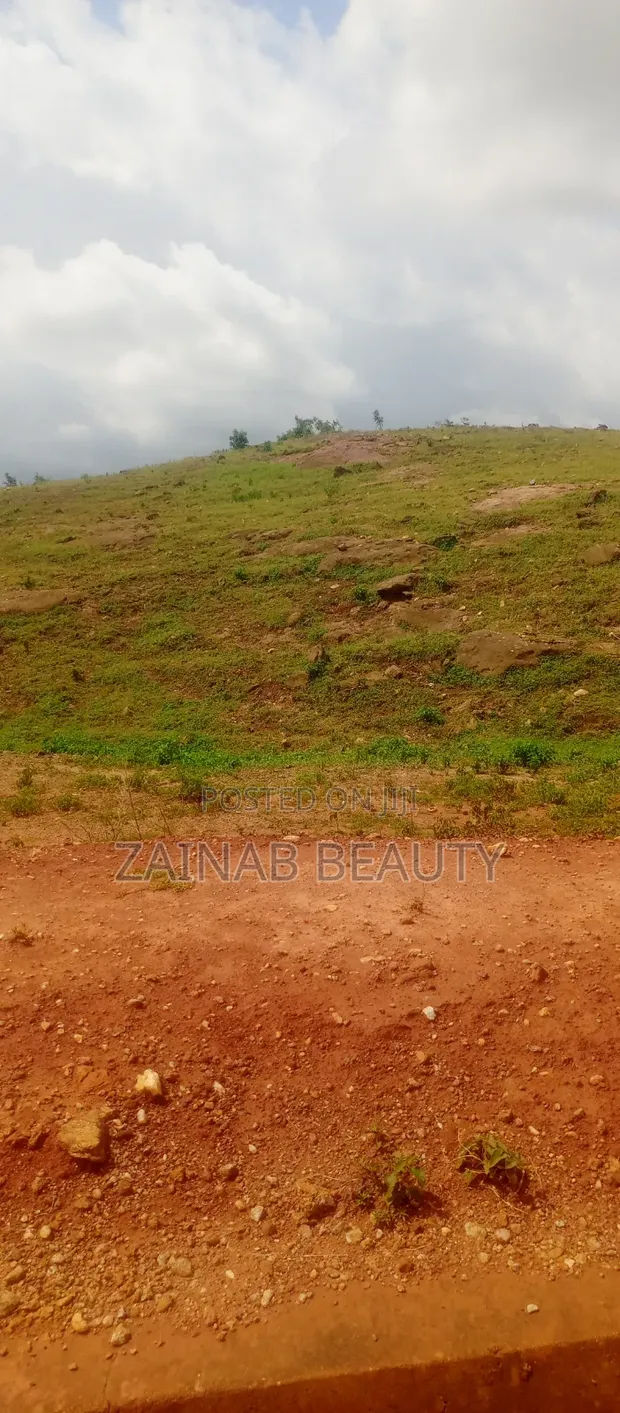 250sqm Residential Land for Sale in Apo Wasa with C of O - 1