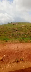 250sqm Residential Land for Sale in Apo Wasa with C of O - 3