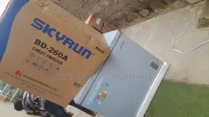 Brand New SkyRun BD-260A Commercial Chest Freezer