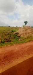 Filin Zama na Farko don Siyarwa - Apo Wasa - 1
