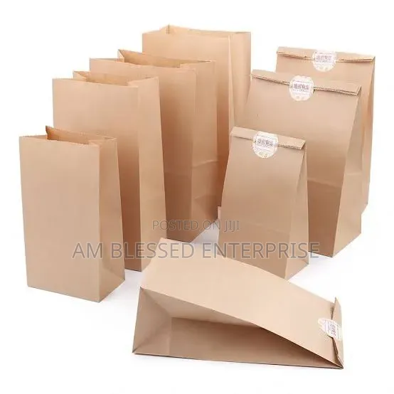 Brown Kraft Bag (No Handle/Rope) - 1